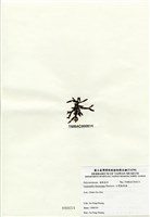 藏品(臺灣盾果藻)的圖片